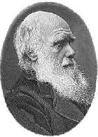 20051222031909-darwin.jpg