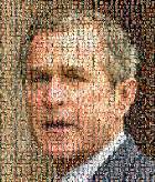 bush-small2.jpg